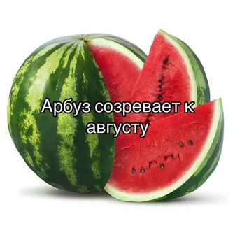 mc.doomshop.ru